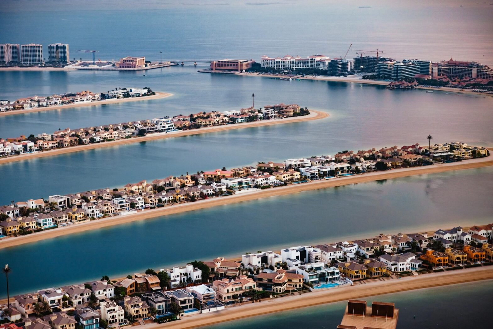 Lead development project at Jubail Island with modern villas and nature