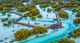 Jubail Terraces at Jubail Island, Abu Dhabi